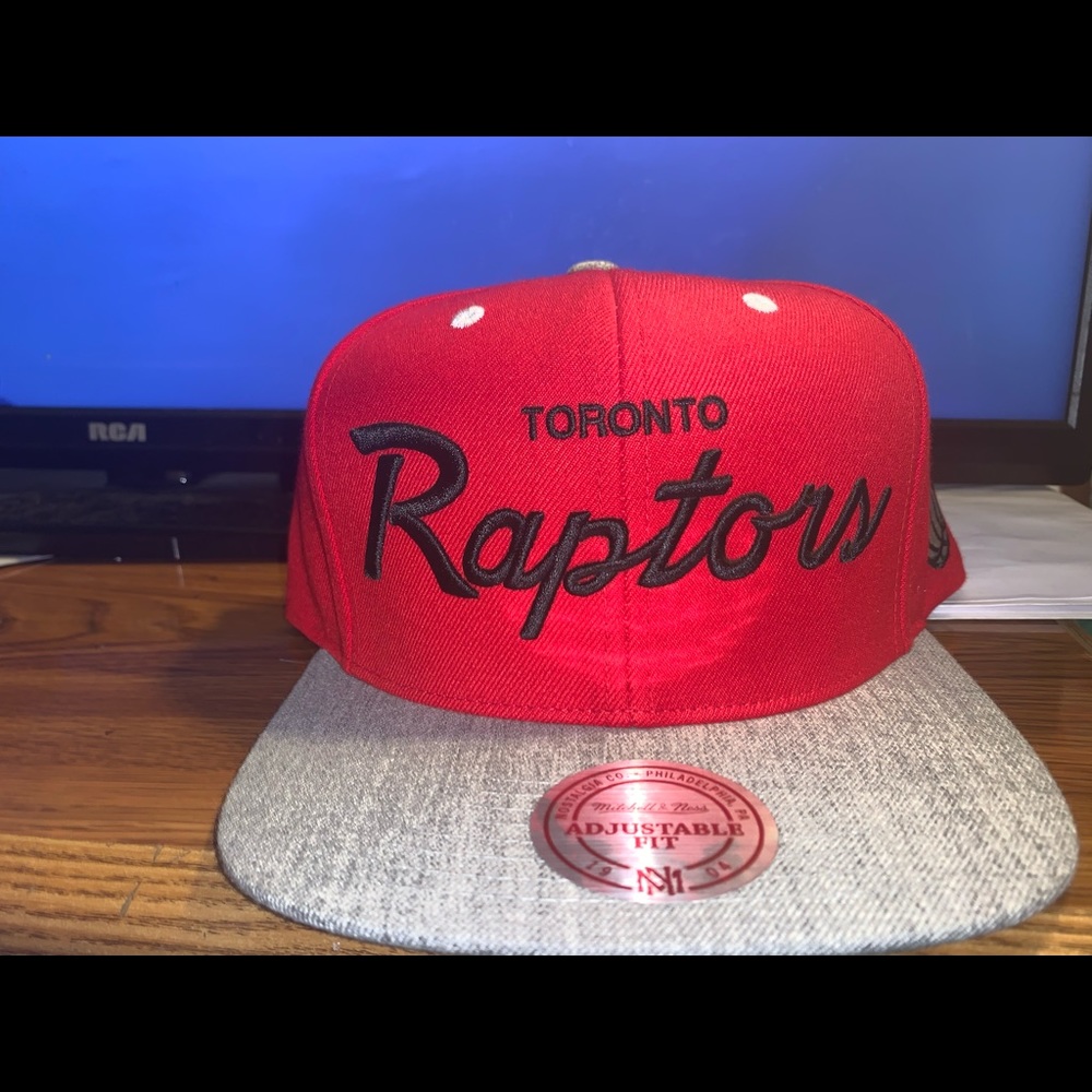 Raptors snap back
